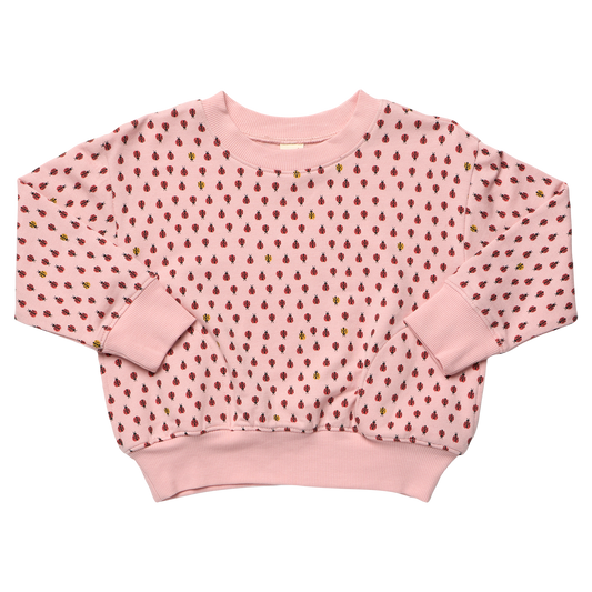 Play Sweatshirt - Mini Ladybugs